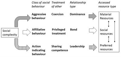 How to Get the Biggest Slice of the Cake. A Comparative View of Social Behaviour and Resource Access in Human Children and Nonhuman Primates